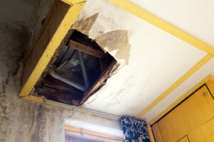 Ceiling Repair